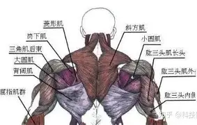 Ning意甲20队主帅全后续来了的简单介绍